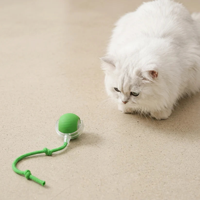 Pounce Ball