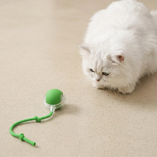 Pounce Ball