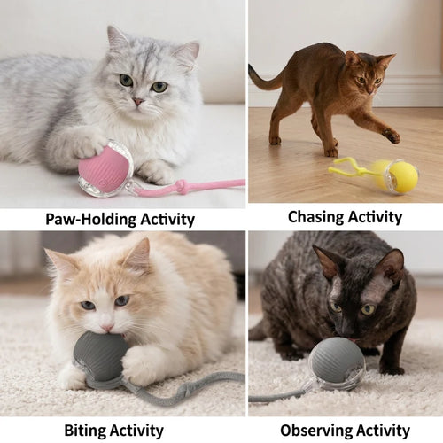 Pounce Ball